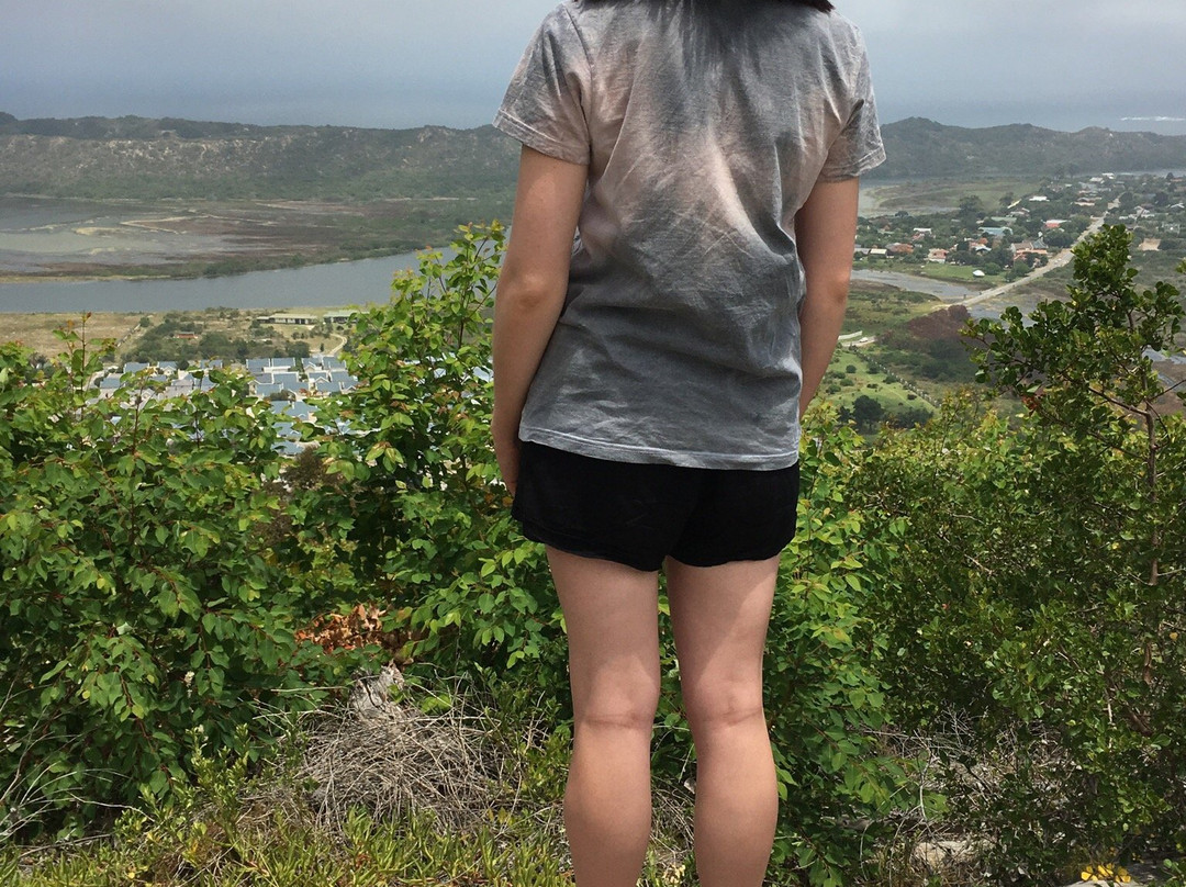 Cloud 9 Lookout-Sedgefield必去景点