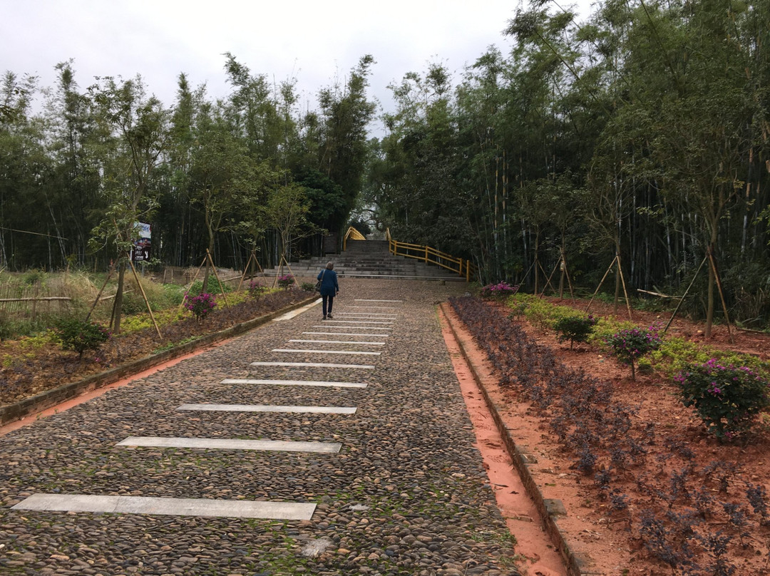 苏家围客家乡村-东源县必去景点