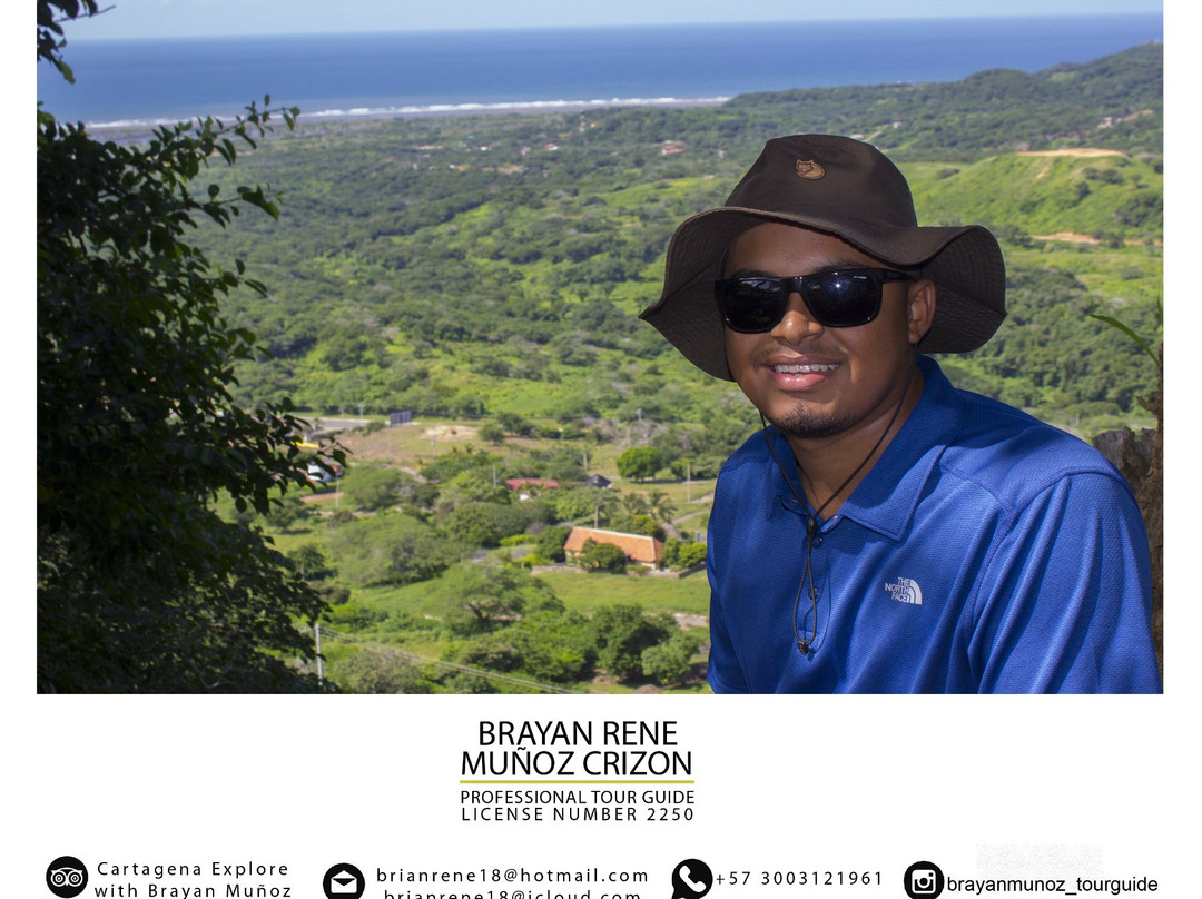 Scarlet Macaw Trips-卡塔赫纳必去景点