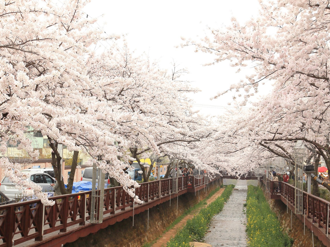 Yeojwacheon Romance Bridge-昌原市必去景点