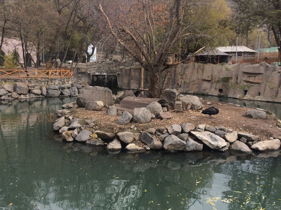 Yerevan Zoo景点图片