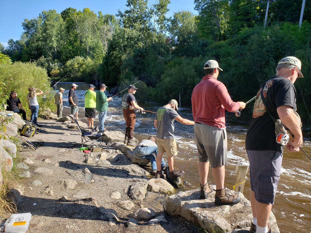 Homestead Dam-Benzonia必去景点