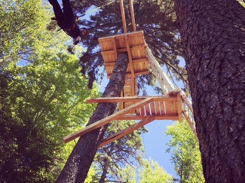 TimberTop Adventures-圣约翰必去景点