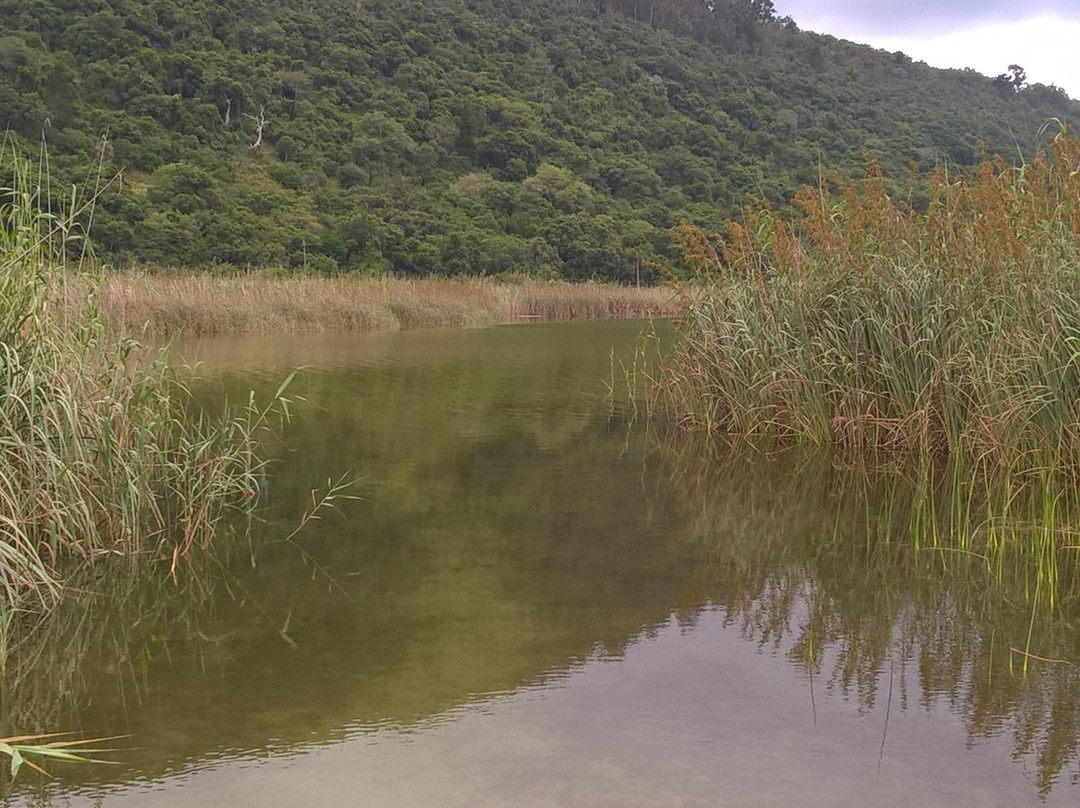 Groenvlei Lake-Sedgefield必去景点