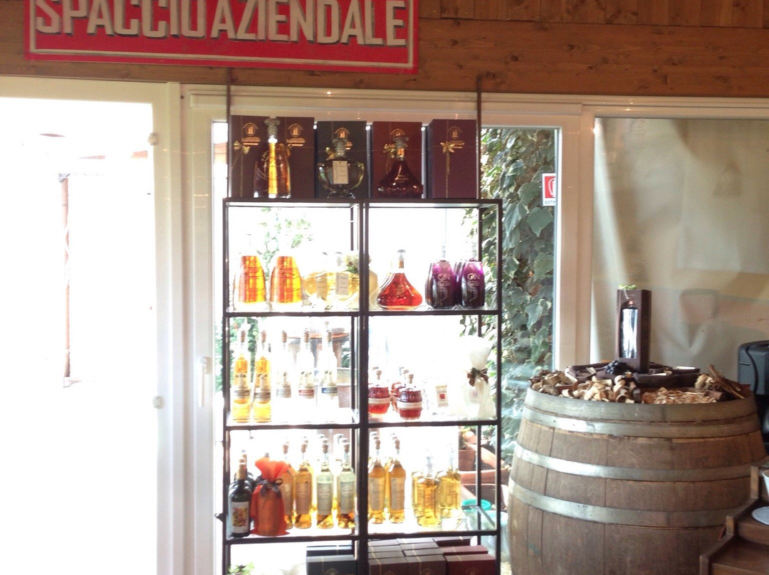 Antiche Distillerie Mantovani-Pincara必去景点