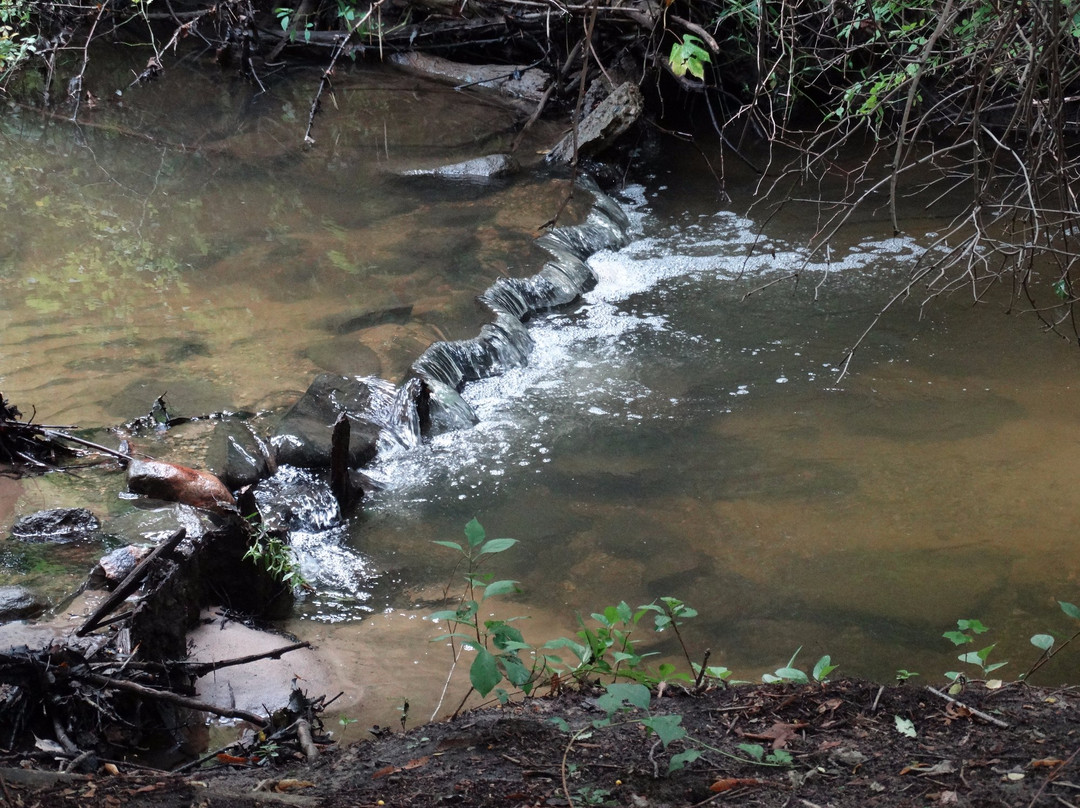 De Graaf Nature Center-荷兰村必去景点