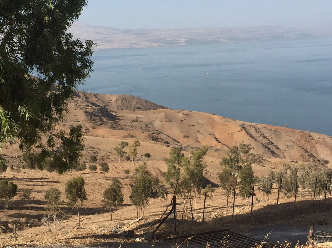 Switzerland Forest-提比利亚必去景点