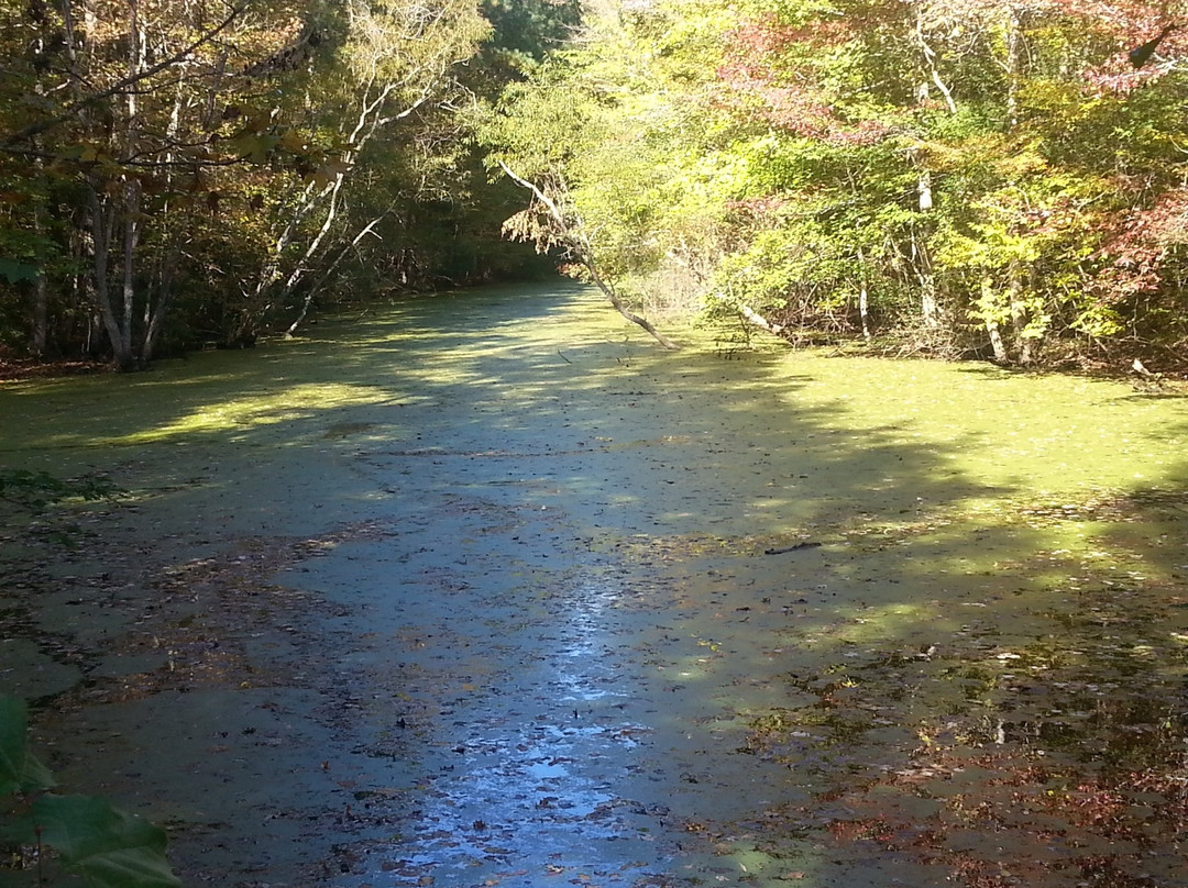 Northwest River Park景点图片