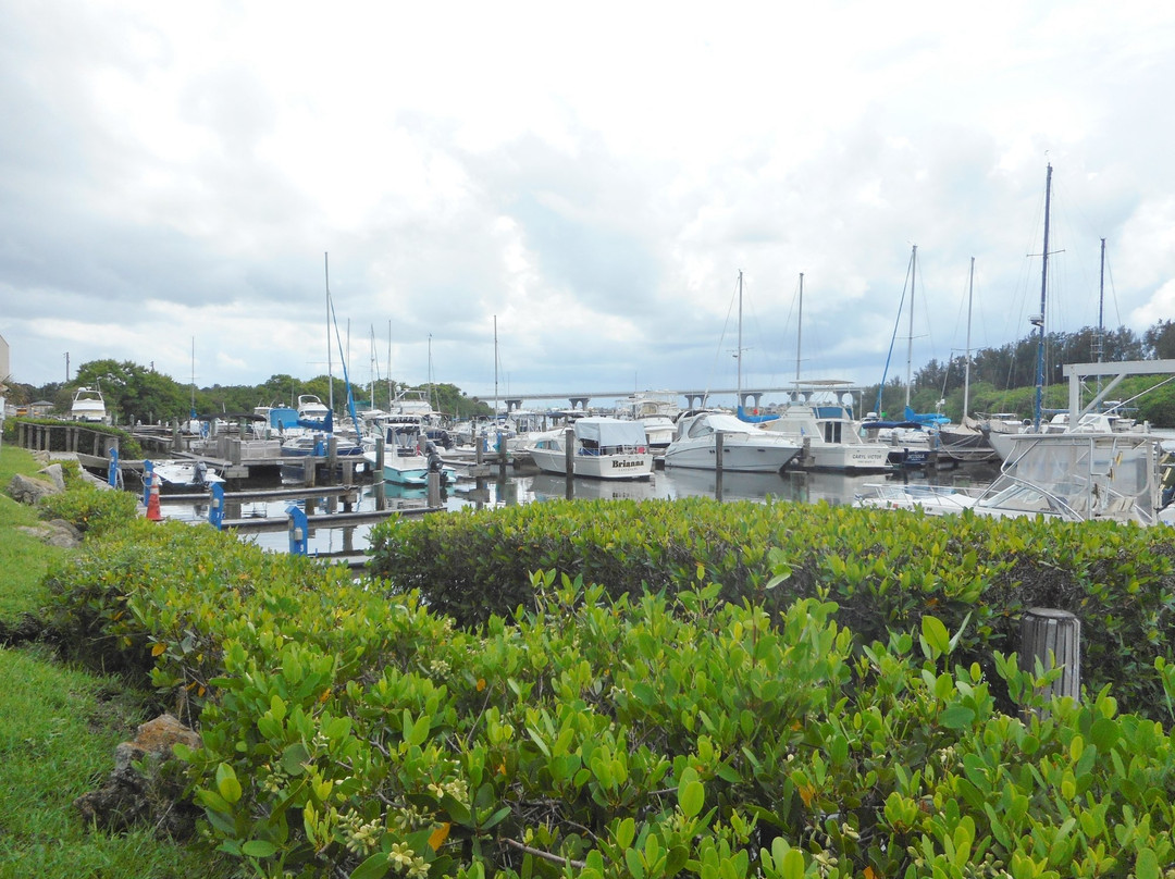 Vero Beach City Marina景点图片