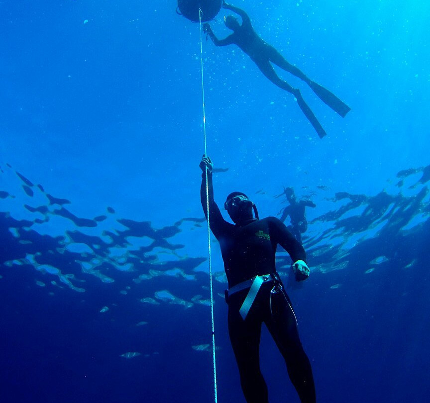 Atlantis Freediving-圣克鲁斯-德特内里费必去景点