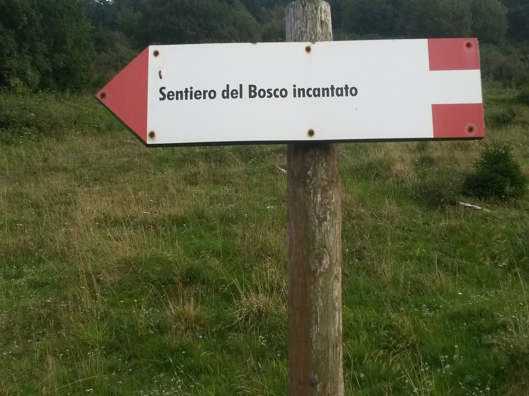 Roccolo Agriturismo主图