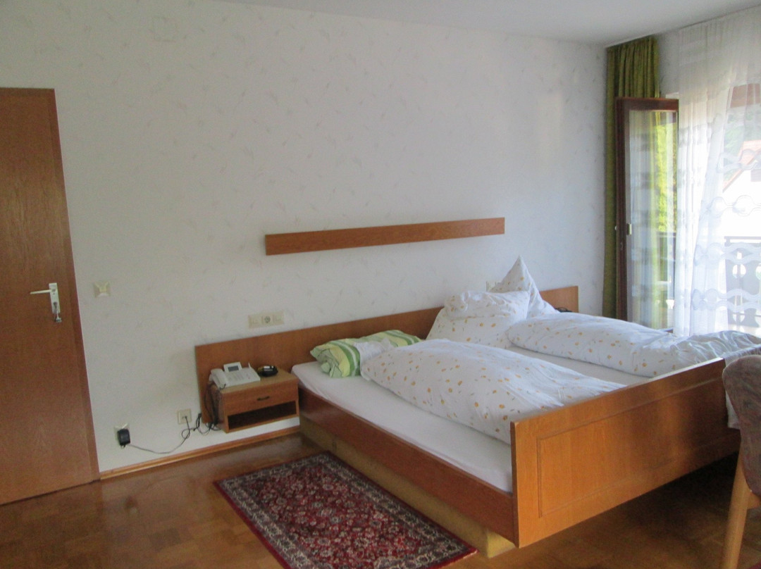 巴特黑雷纳尔布酒店住宿-Hotel-Cafe Waldschlosschen