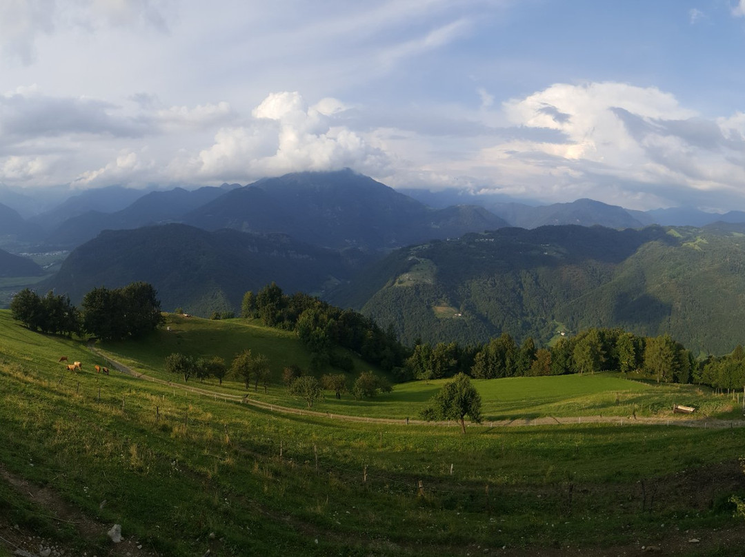 斯鲁库农可乐主图