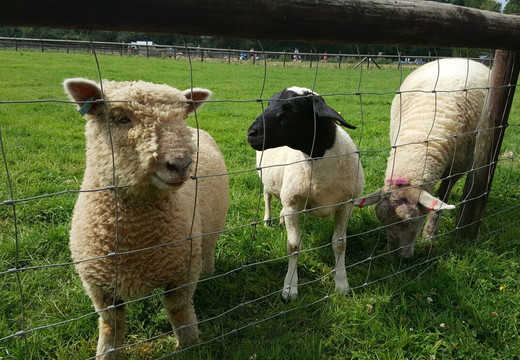 Southwick Country Park-Southwick必去景点