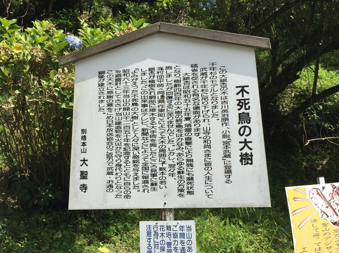 Daisho-ji Temple-美作市必去景点