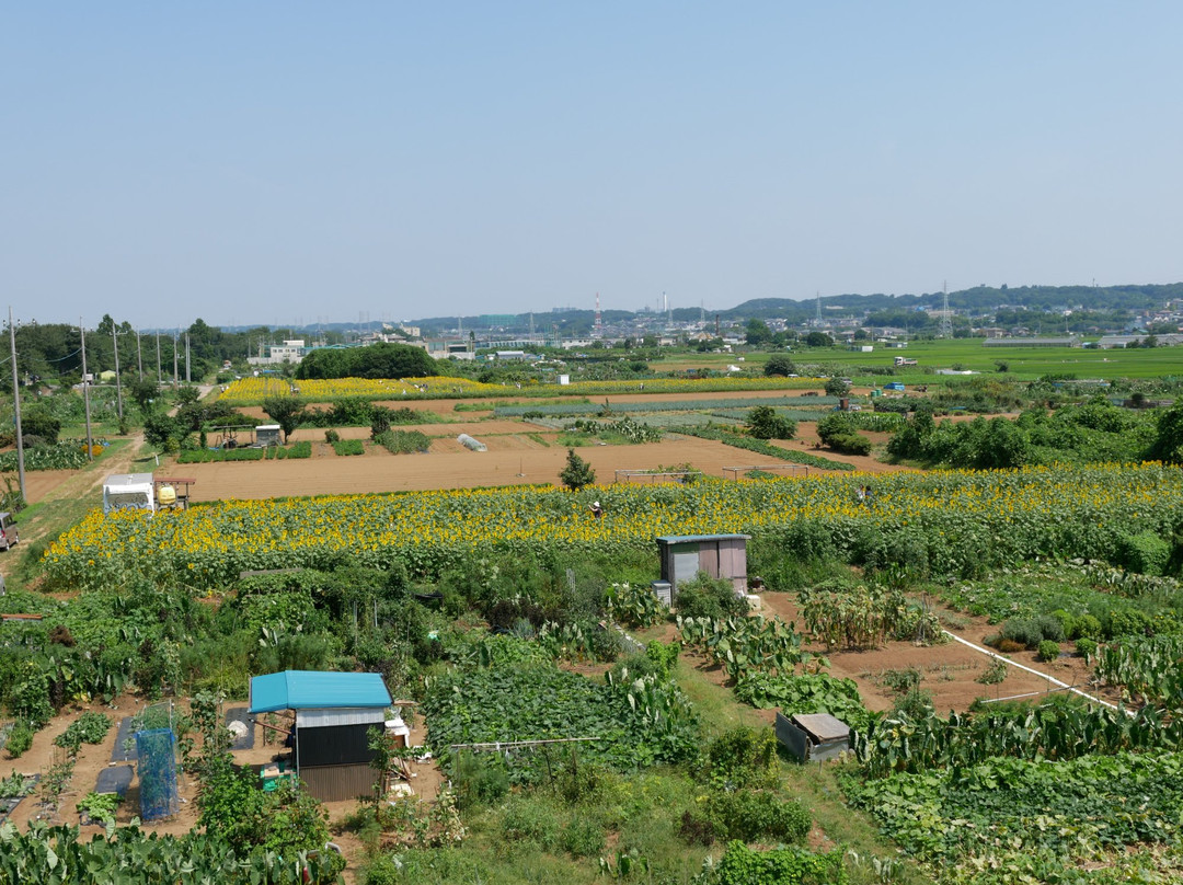 Mizu to Midori to Kaze Hiroba-座间市必去景点
