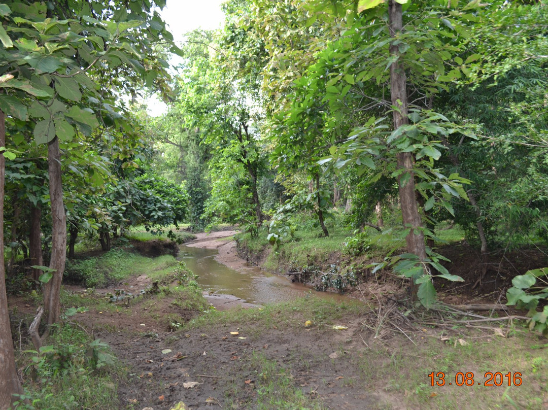 Kawal Wildlife Sanctuary景点图片