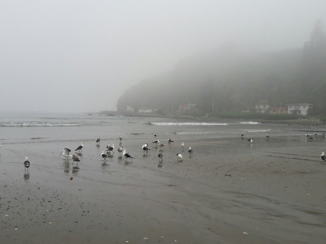 Las Ventanas-Puchuncavi必去景点