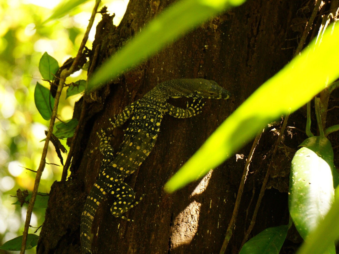 Alexandra Bay Waterfall-Diwan必去景点