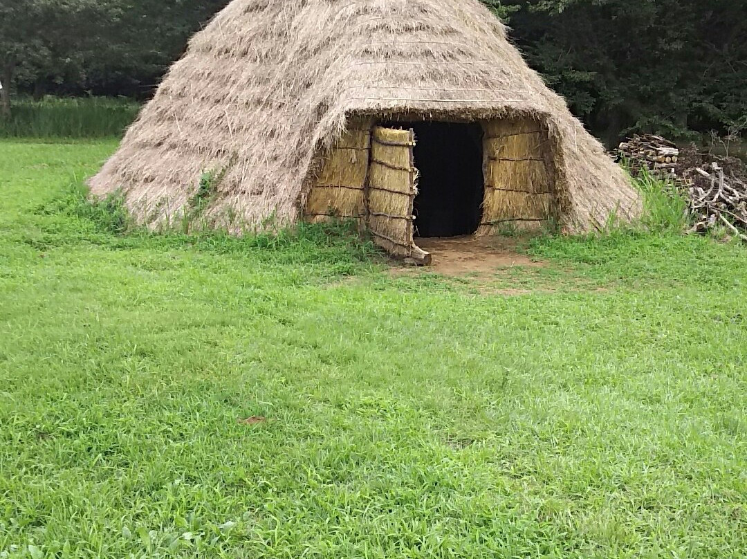 Kasori Shellmounds Site Museum-千叶市必去景点