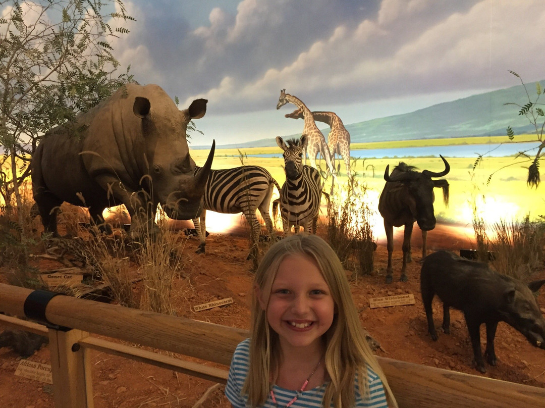 Cabela's-沃思堡必去景点