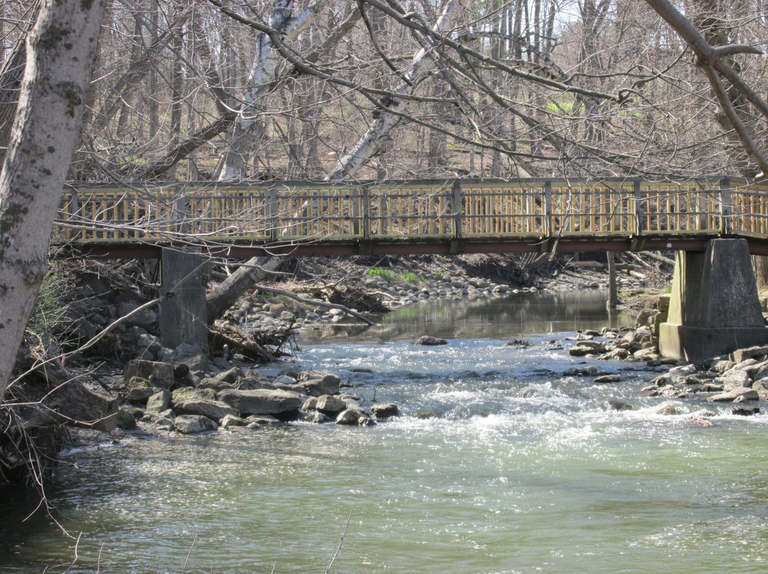 Petrifying Springs Park-基诺沙必去景点