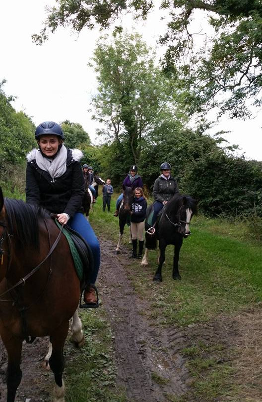 Corballis Farm Horse Trekking & Therapeutic Riding Centre-都柏林必去景点