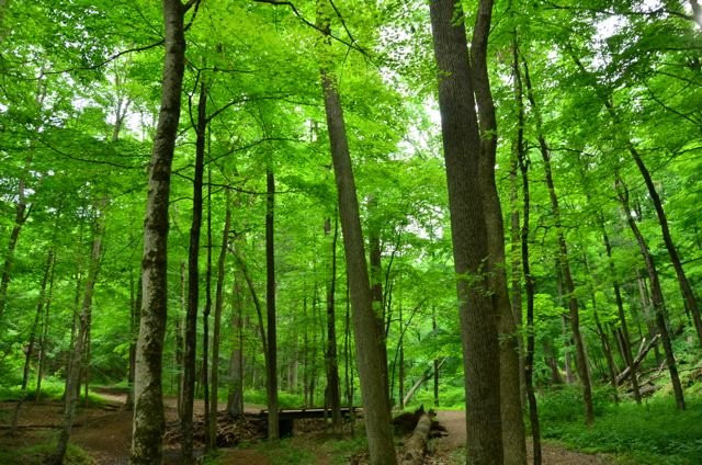 Trailside Nature & Science Center-Mountainside必去景点