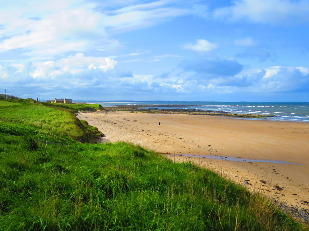 The Northumberland Coast Area of Outstanding Natural Beauty景点图片