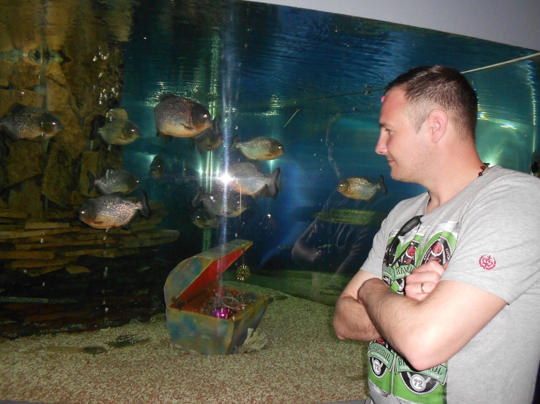 Anapskiy Okeanarium-阿纳帕必去景点