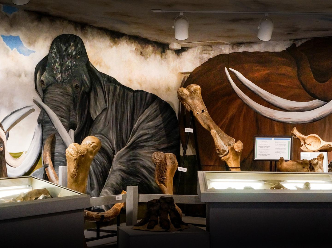 Sanford Museum & Planetarium-Cherokee必去景点