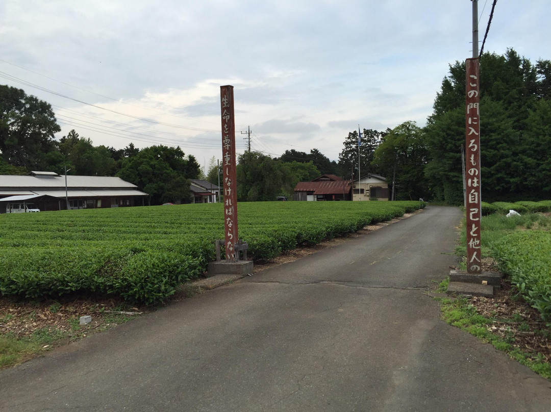 Atarashiki-Mura Museum-毛吕山町必去景点