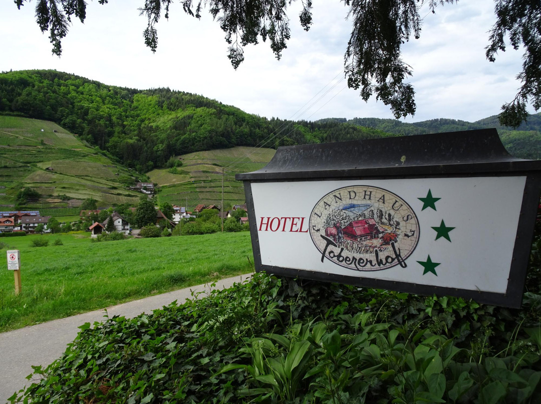 Minotel Tobererhof主图