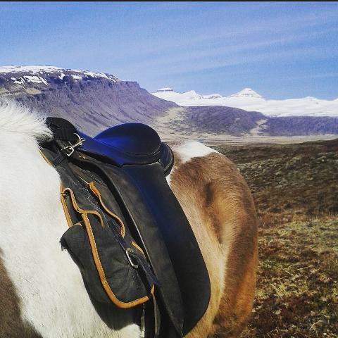 Odin Tours-Breiddalsvik必去景点