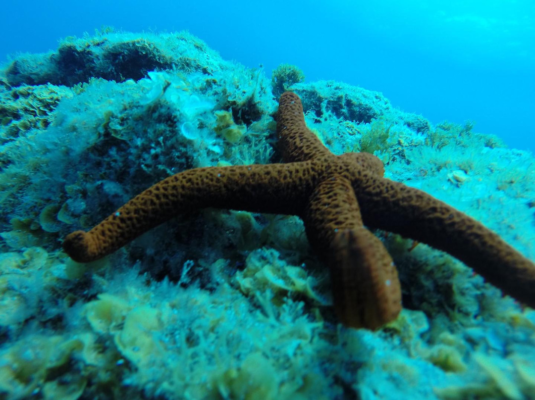 Enjoy Your Adventure Tenerife-特纳里夫必去景点
