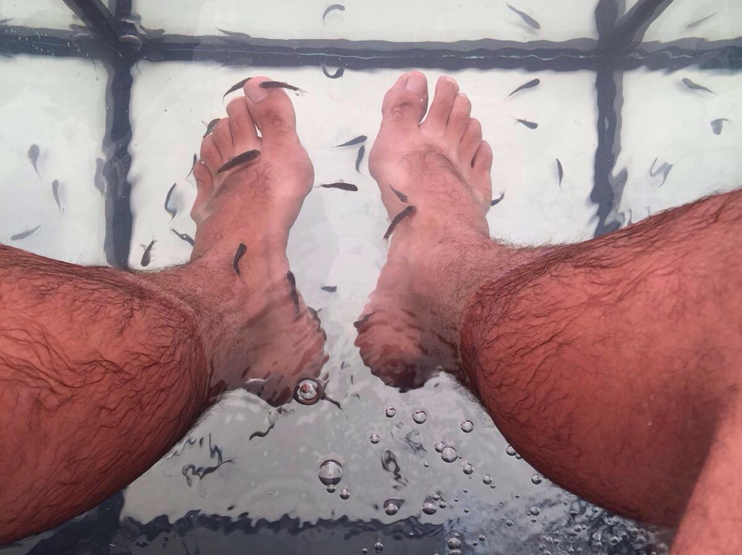 Cunski旅游景点-Fish Spa Small Lošinj