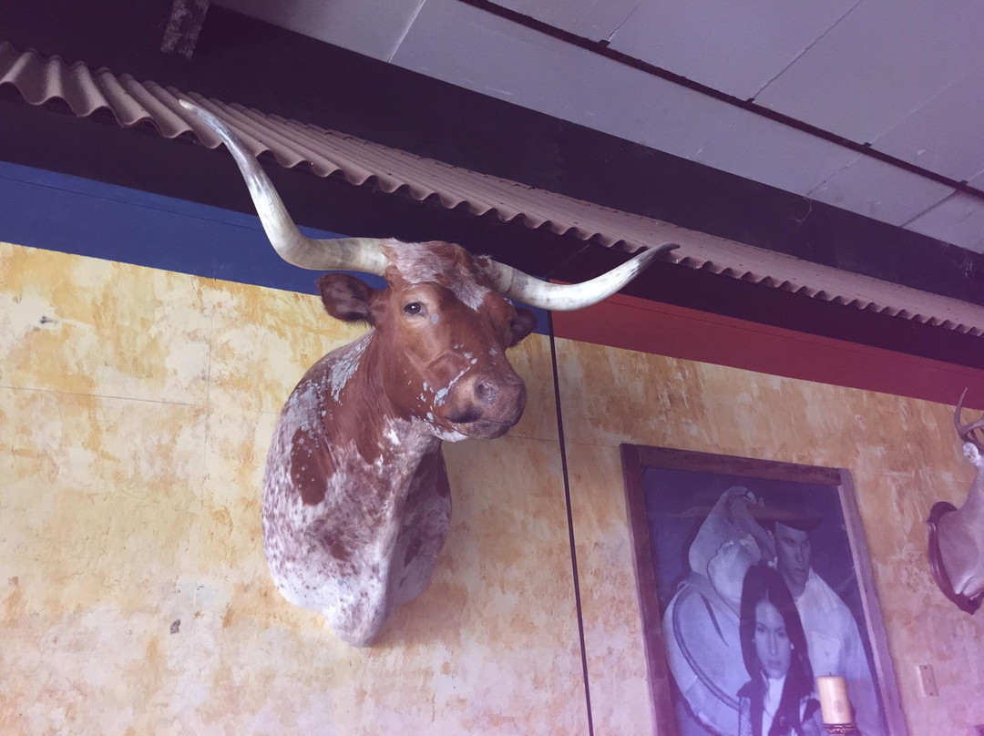 Texas Ranch Life景点图片