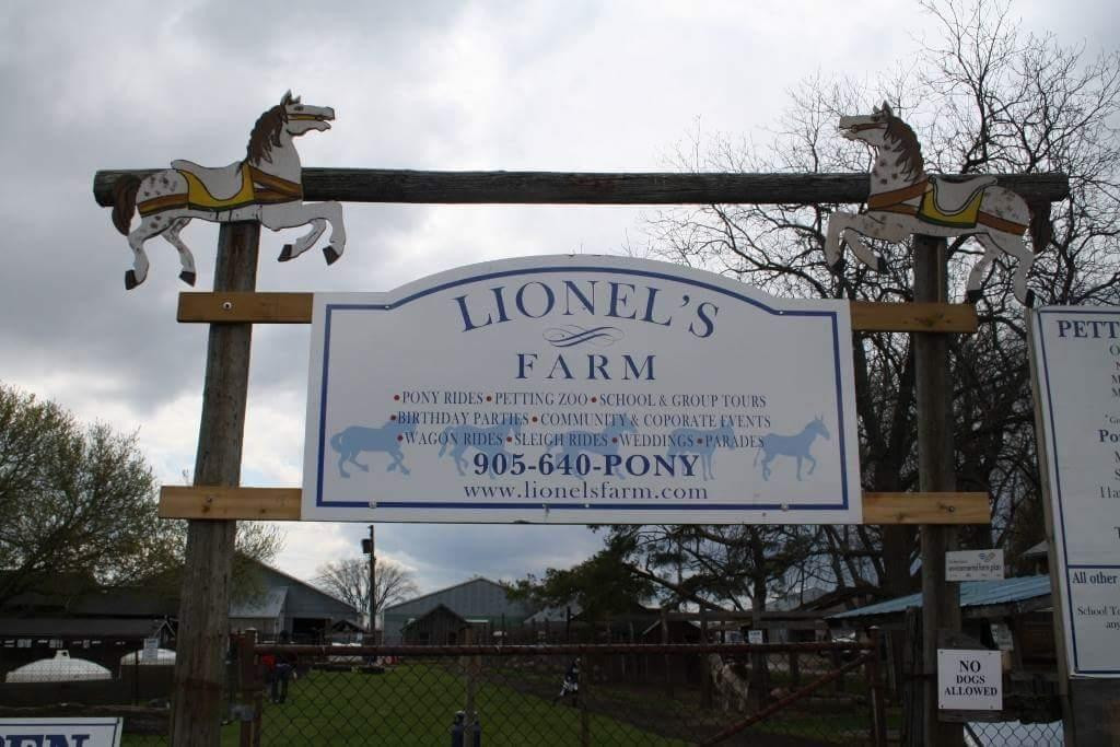 Lionels Farm-惠特彻奇-史托维尔必去景点