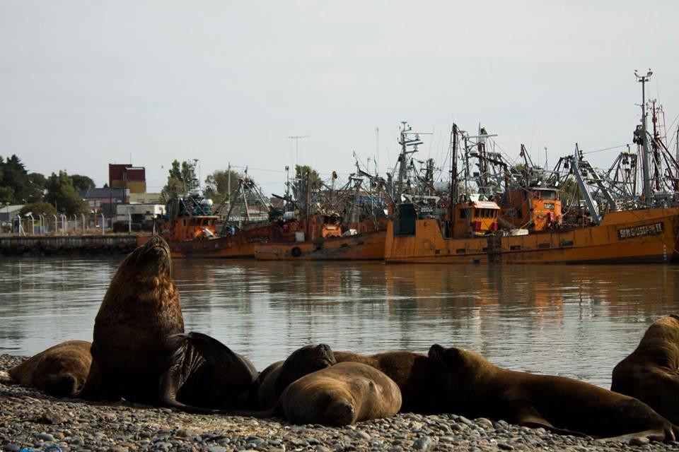 Toninas Adventure-Puerto Rawson必去景点