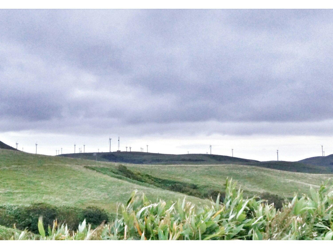 Cape Soya Wind Farm-稚内市必去景点
