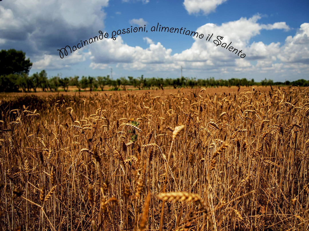 Mulino Maggio-Poggiardo必去景点