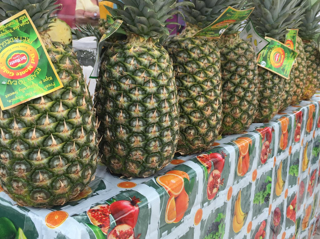 West Palm Beach Greenmarket景点图片