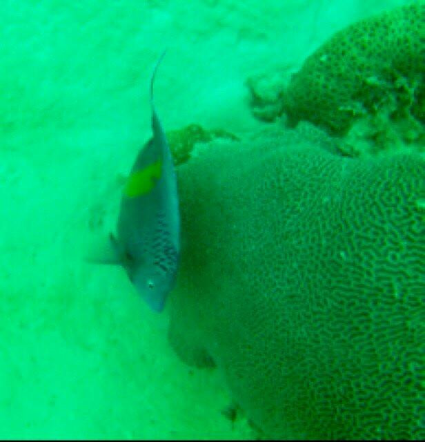 Al Mahara Diving Center-阿布扎比必去景点