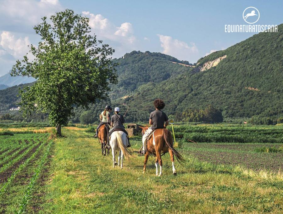 Equinatura Toscana景点图片
