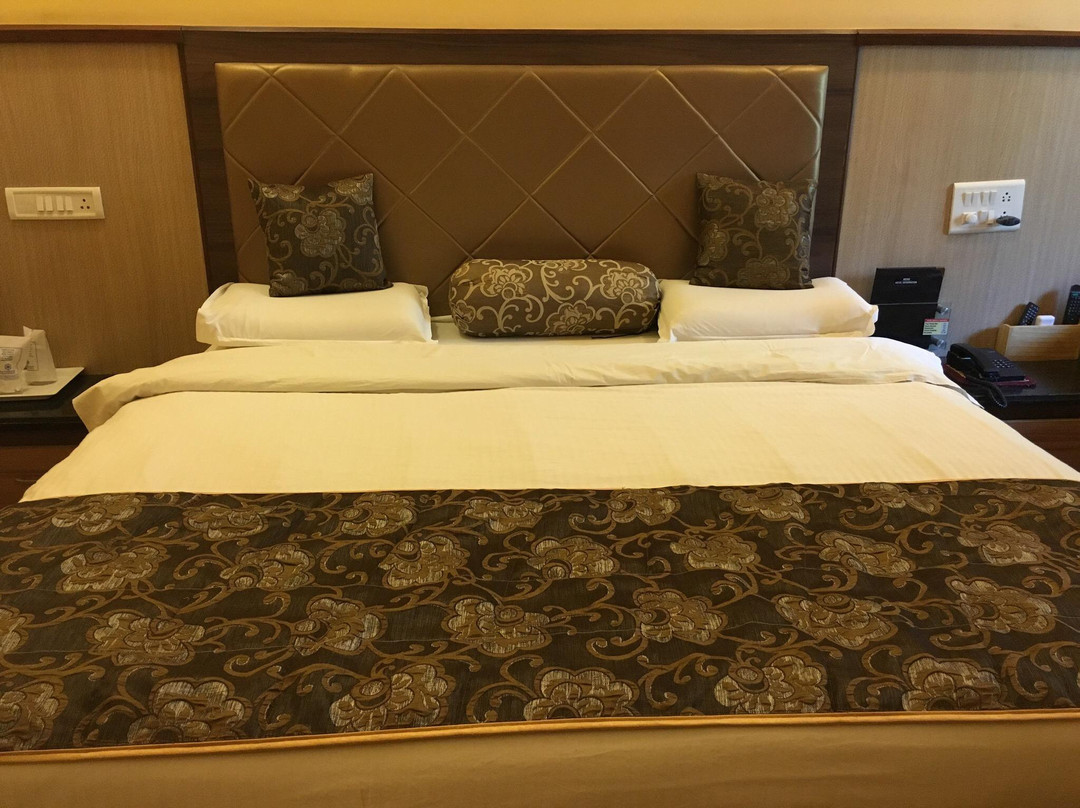 Hotel Savera Palace主图