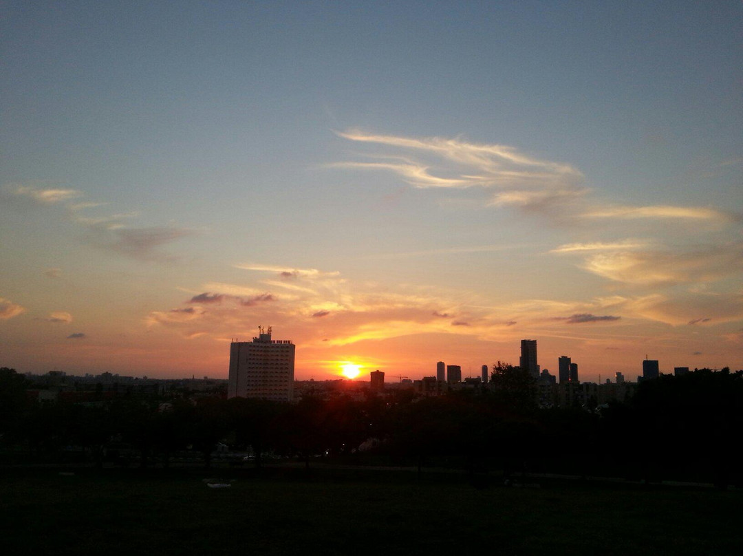 Edith Wolfson Park-特拉维夫必去景点