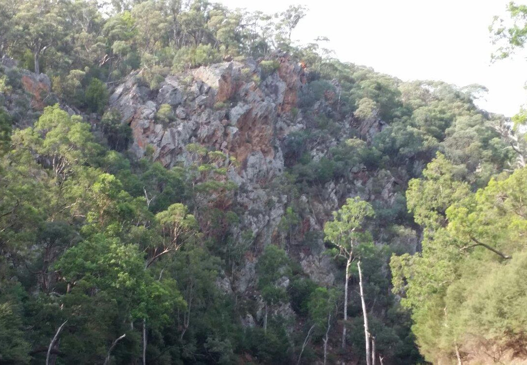 Brogo Wilderness Canoes-Brogo必去景点