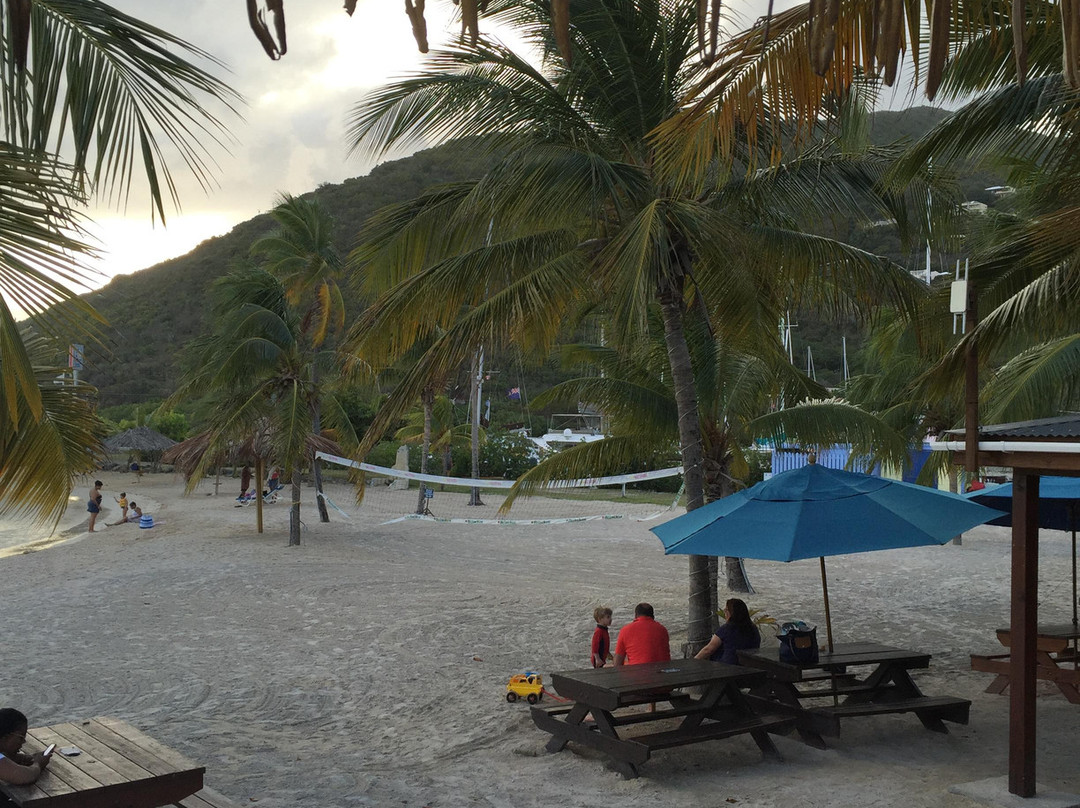 The beach bar at nanny cay景点图片
