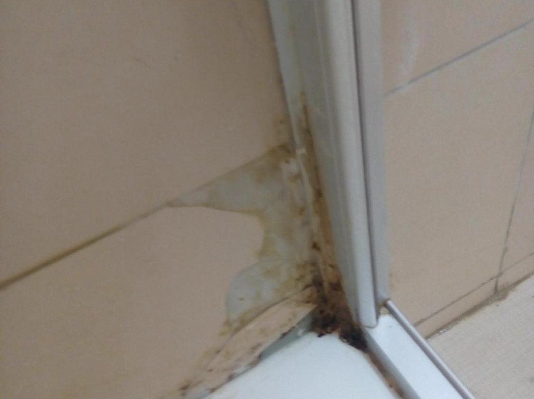 Lakeview Resort主图