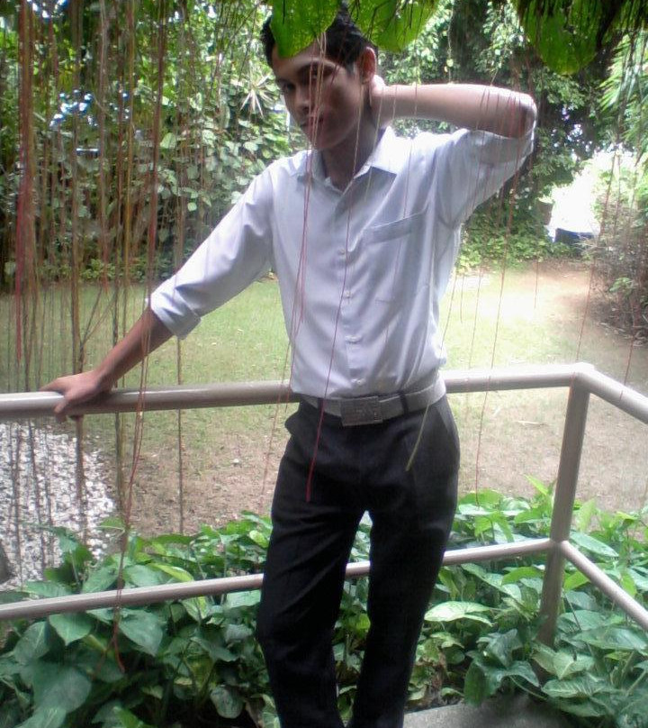 Harbor Lights Hotel主图